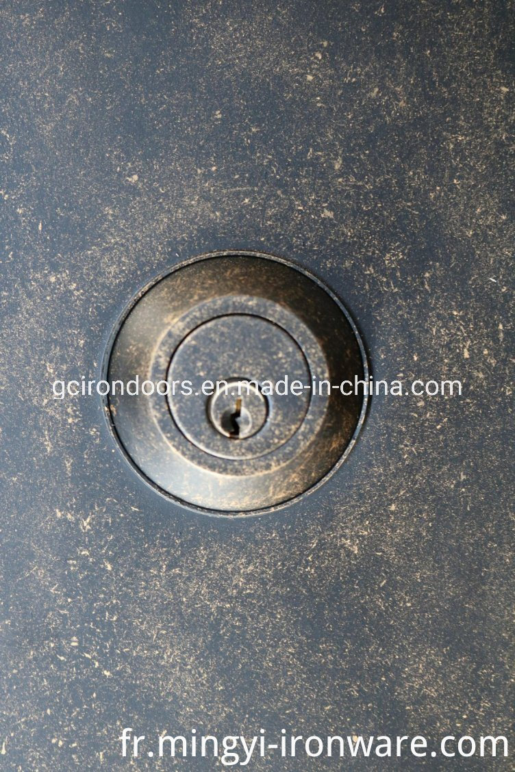 Porte extérieure sur mesure pour villa